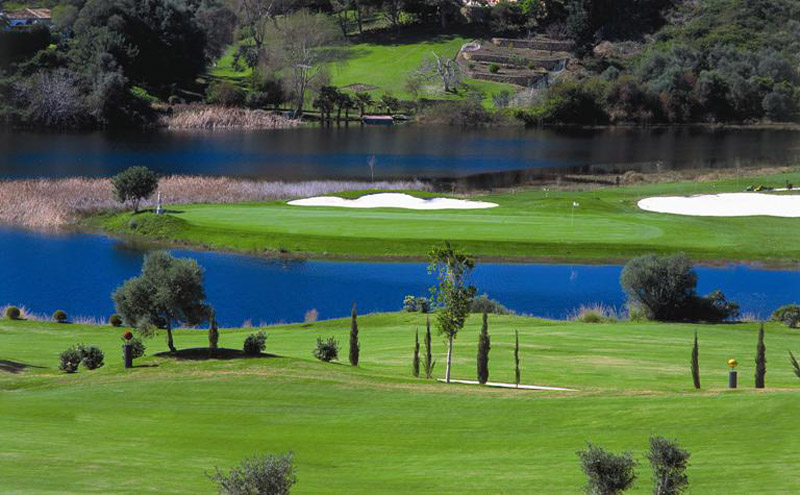 GC Flamingo