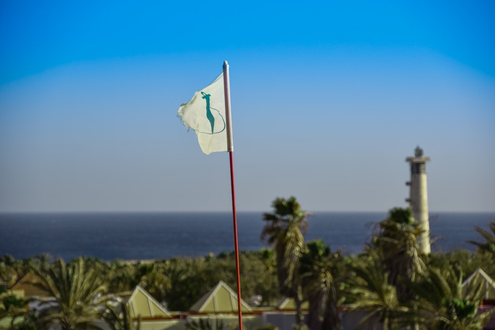 GC Jandia Fuerteventura